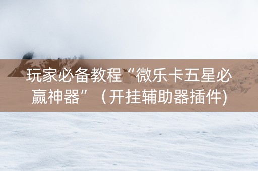 玩家必备教程“微乐卡五星必赢神器”（开挂辅助器插件)