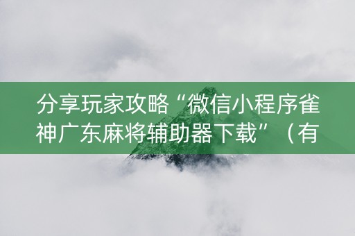 分享玩家攻略“微信小程序雀神广东麻将辅助器下载”（有没有猫腻)