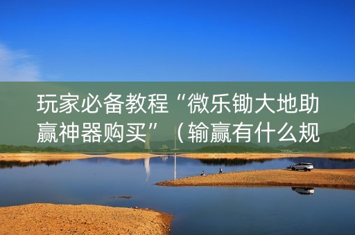 玩家必备教程“微乐锄大地助赢神器购买”（输赢有什么规律)