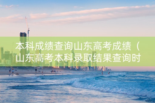 本科成绩查询山东高考成绩（山东高考本科录取结果查询时间）