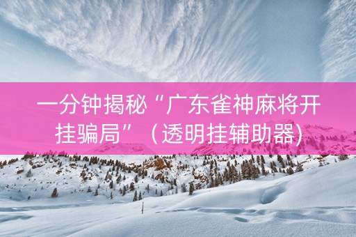 一分钟揭秘“广东雀神麻将开挂骗局”（透明挂辅助器)
