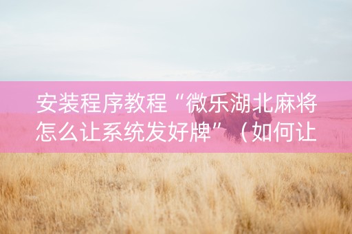 安装程序教程“微乐湖北麻将怎么让系统发好牌”（如何让系统发好牌)