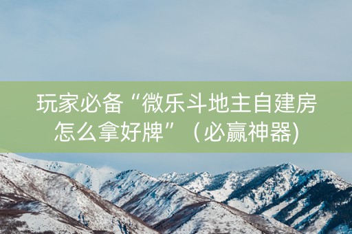 玩家必备“微乐斗地主自建房怎么拿好牌”（必赢神器)