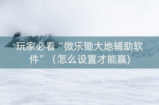 玩家必看“微乐锄大地辅助软件”（怎么设置才能赢)