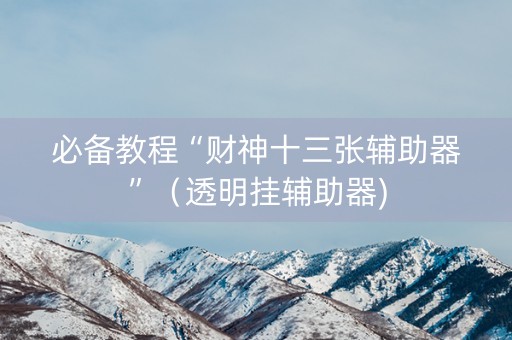 必备教程“财神十三张辅助器”（透明挂辅助器)