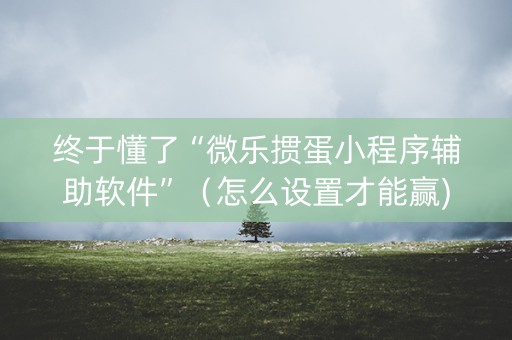 终于懂了“微乐掼蛋小程序辅助软件”（怎么设置才能赢)