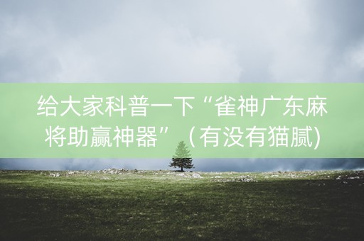 给大家科普一下“雀神广东麻将助赢神器”（有没有猫腻)