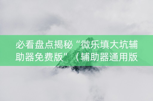 必看盘点揭秘“微乐填大坑辅助器免费版”（辅助器通用版)
