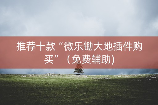 推荐十款“微乐锄大地插件购买”（免费辅助)
