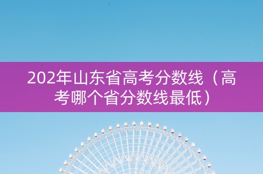 202年山东省高考分数线（高考哪个省分数线最低）