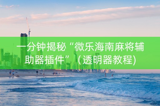 一分钟揭秘“微乐海南麻将辅助器插件”（透明器教程)