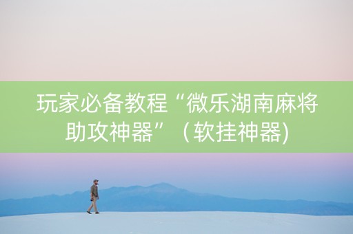 玩家必备教程“微乐湖南麻将助攻神器”（软挂神器)