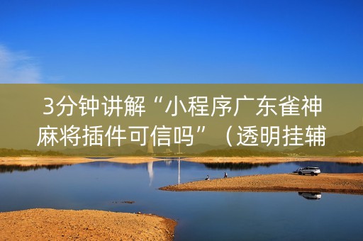 3分钟讲解“小程序广东雀神麻将插件可信吗”（透明挂辅助器)