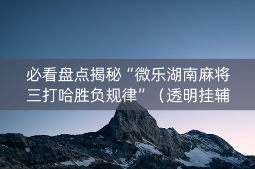 必看盘点揭秘“微乐湖南麻将三打哈胜负规律”（透明挂辅助器)