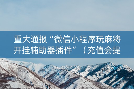 重大通报“微信小程序玩麻将开挂辅助器插件”（充值会提高胜率么)