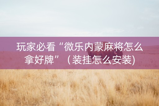 玩家必看“微乐内蒙麻将怎么拿好牌”（装挂怎么安装)