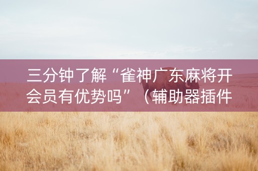三分钟了解“雀神广东麻将开会员有优势吗”（辅助器插件)