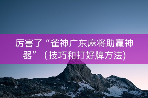 厉害了“雀神广东麻将助赢神器”（技巧和打好牌方法)