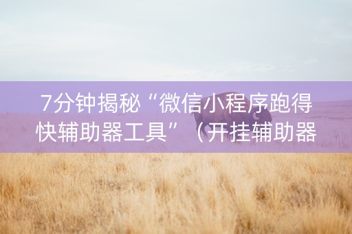 7分钟揭秘“微信小程序跑得快辅助器工具”（开挂辅助器脚本)
