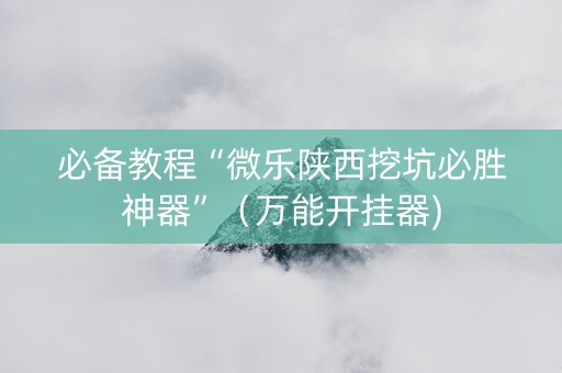 必备教程“微乐陕西挖坑必胜神器”（万能开挂器)