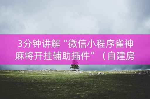 3分钟讲解“微信小程序雀神麻将开挂辅助插件”（自建房胜负规律)