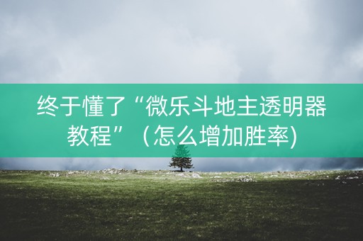 终于懂了“微乐斗地主透明器教程”（怎么增加胜率)