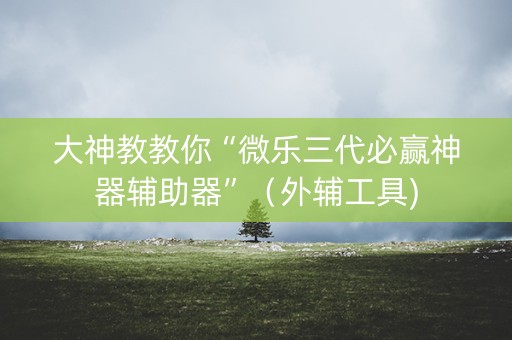 大神教教你“微乐三代必赢神器辅助器”（外辅工具)