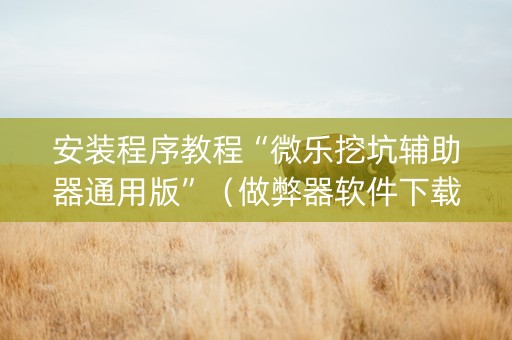 安装程序教程“微乐挖坑辅助器通用版”（做弊器软件下载)