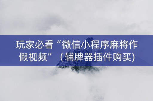 玩家必看“微信小程序麻将作假视频”（辅牌器插件购买)