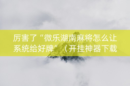 厉害了“微乐湖南麻将怎么让系统给好牌”（开挂神器下载)