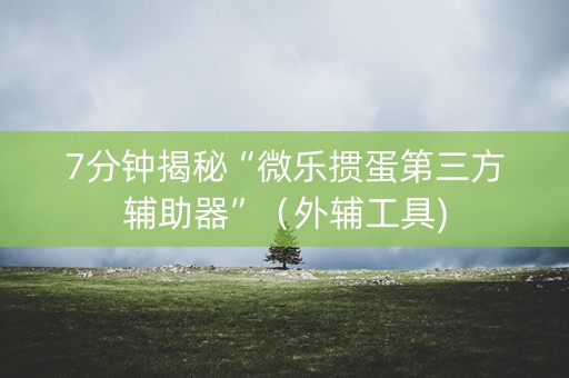7分钟揭秘“微乐掼蛋第三方辅助器”（外辅工具)