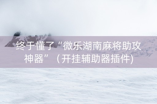 终于懂了“微乐湖南麻将助攻神器”（开挂辅助器插件)