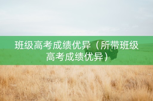 班级高考成绩优异（所带班级高考成绩优异）