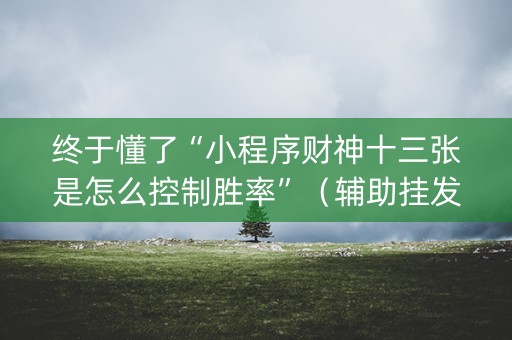 终于懂了“小程序财神十三张是怎么控制胜率”（辅助挂发牌规律)