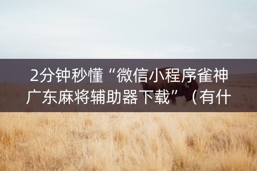 2分钟秒懂“微信小程序雀神广东麻将辅助器下载”（有什么诀窍)
