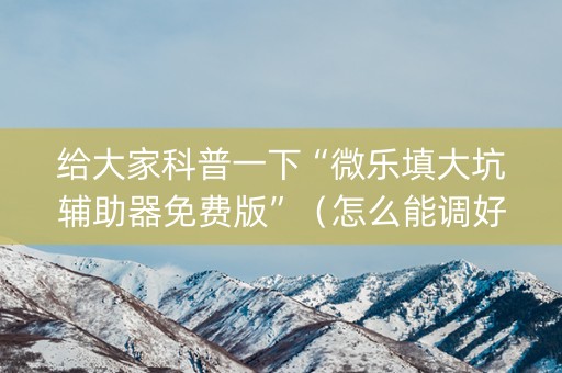 给大家科普一下“微乐填大坑辅助器免费版”（怎么能调好牌)