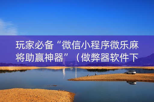 玩家必备“微信小程序微乐麻将助赢神器”（做弊器软件下载)