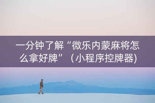 一分钟了解“微乐内蒙麻将怎么拿好牌”（小程序控牌器)