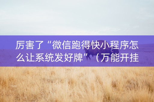 厉害了“微信跑得快小程序怎么让系统发好牌”（万能开挂神器)