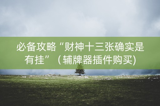 必备攻略“财神十三张确实是有挂”（辅牌器插件购买)