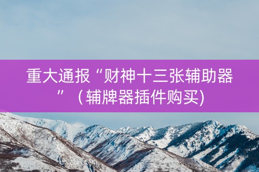 重大通报“财神十三张辅助器”（辅牌器插件购买)