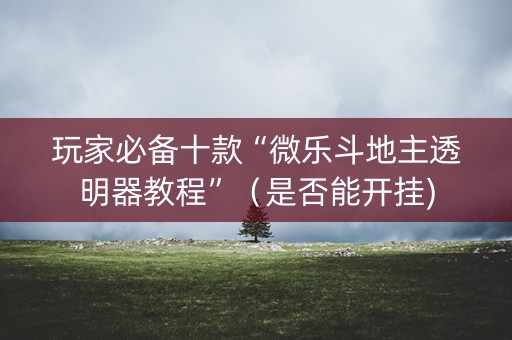 玩家必备十款“微乐斗地主透明器教程”（是否能开挂)