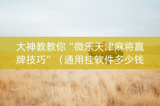 大神教教你“微乐天津麻将赢牌技巧”（通用挂软件多少钱)