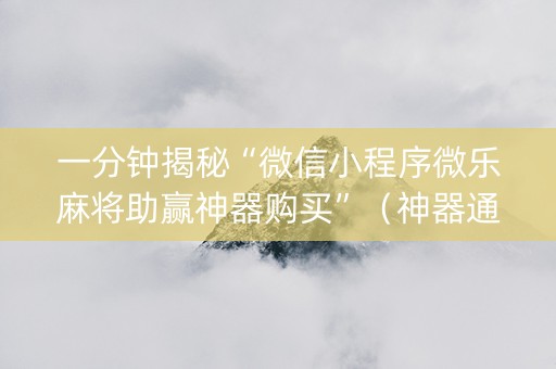 一分钟揭秘“微信小程序微乐麻将助赢神器购买”（神器通用版)