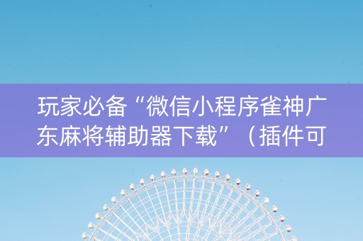 玩家必备“微信小程序雀神广东麻将辅助器下载”（插件可信吗)