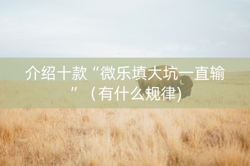 介绍十款“微乐填大坑一直输”（有什么规律)