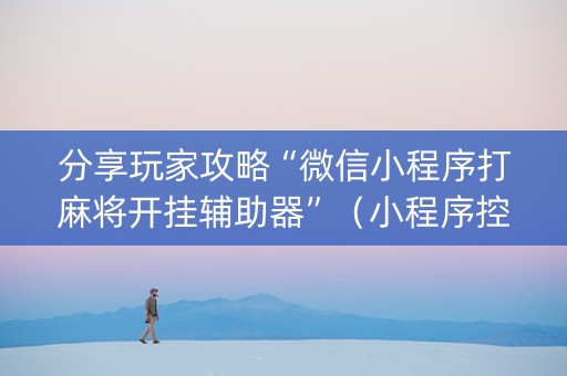 分享玩家攻略“微信小程序打麻将开挂辅助器”（小程序控牌器)