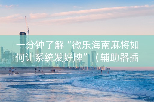 一分钟了解“微乐海南麻将如何让系统发好牌”（辅助器插件)