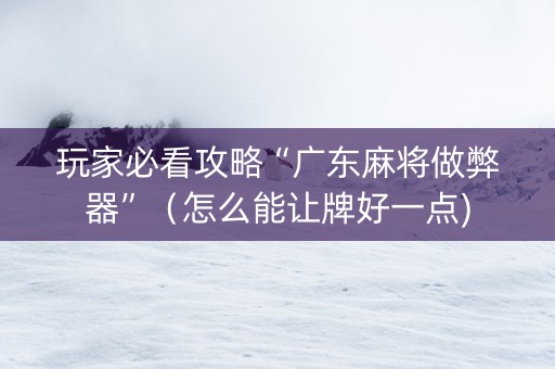 玩家必看攻略“广东麻将做弊器”（怎么能让牌好一点)