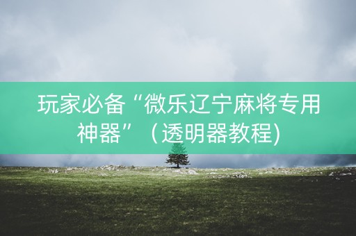 玩家必备“微乐辽宁麻将专用神器”（透明器教程)